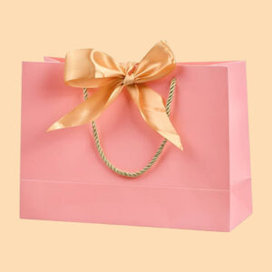 Paper Gift Bags